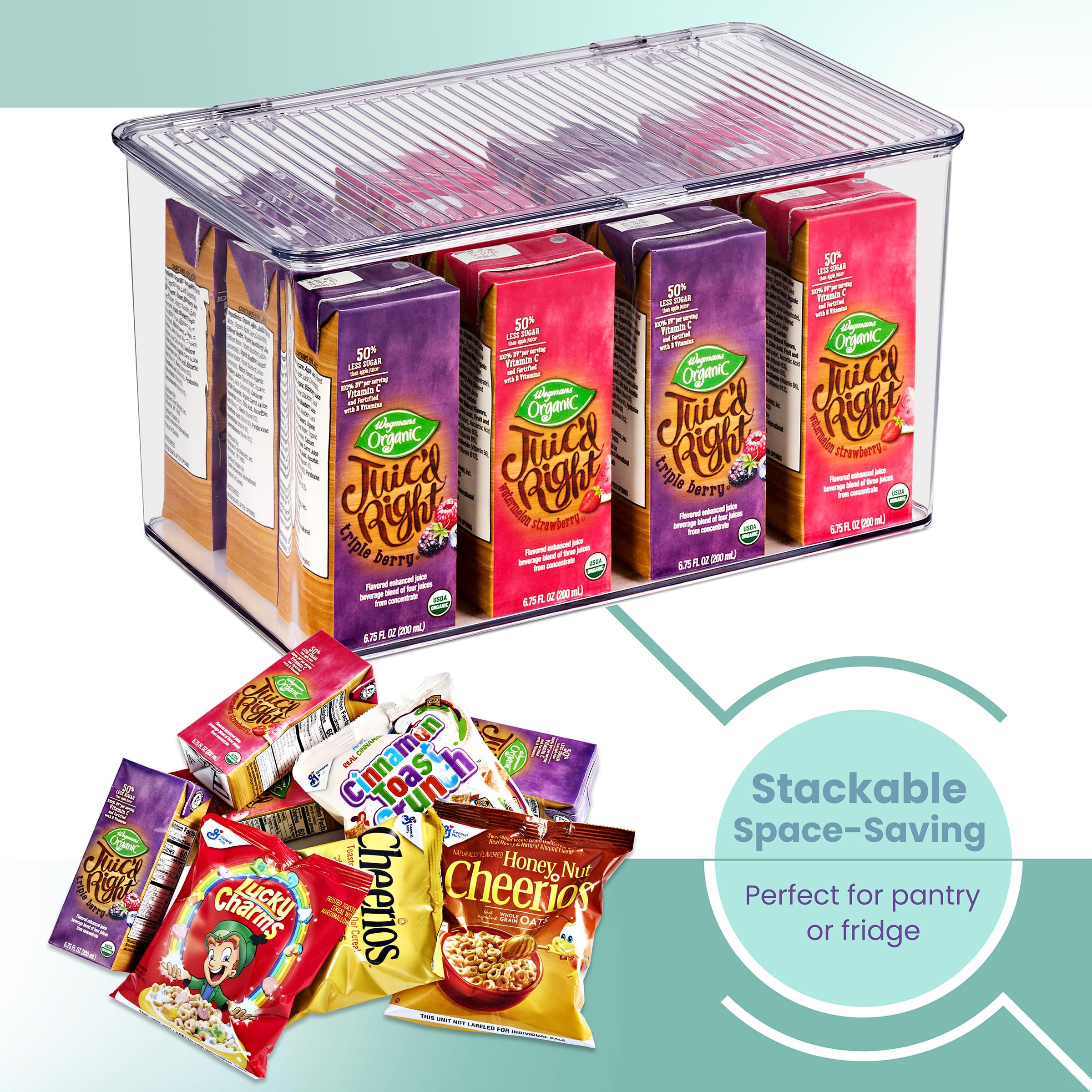 Sorbus Durable Plastic Storage Bins with Lids - Stackable Refrigerator & Pantry Organizer Bins - Multipurpose Kitchen Cabinet Storage Containers - Lightweight Home Organization Solution (2-Pack) - Perfect for Food Storage, Office Supplies & Toy Organization