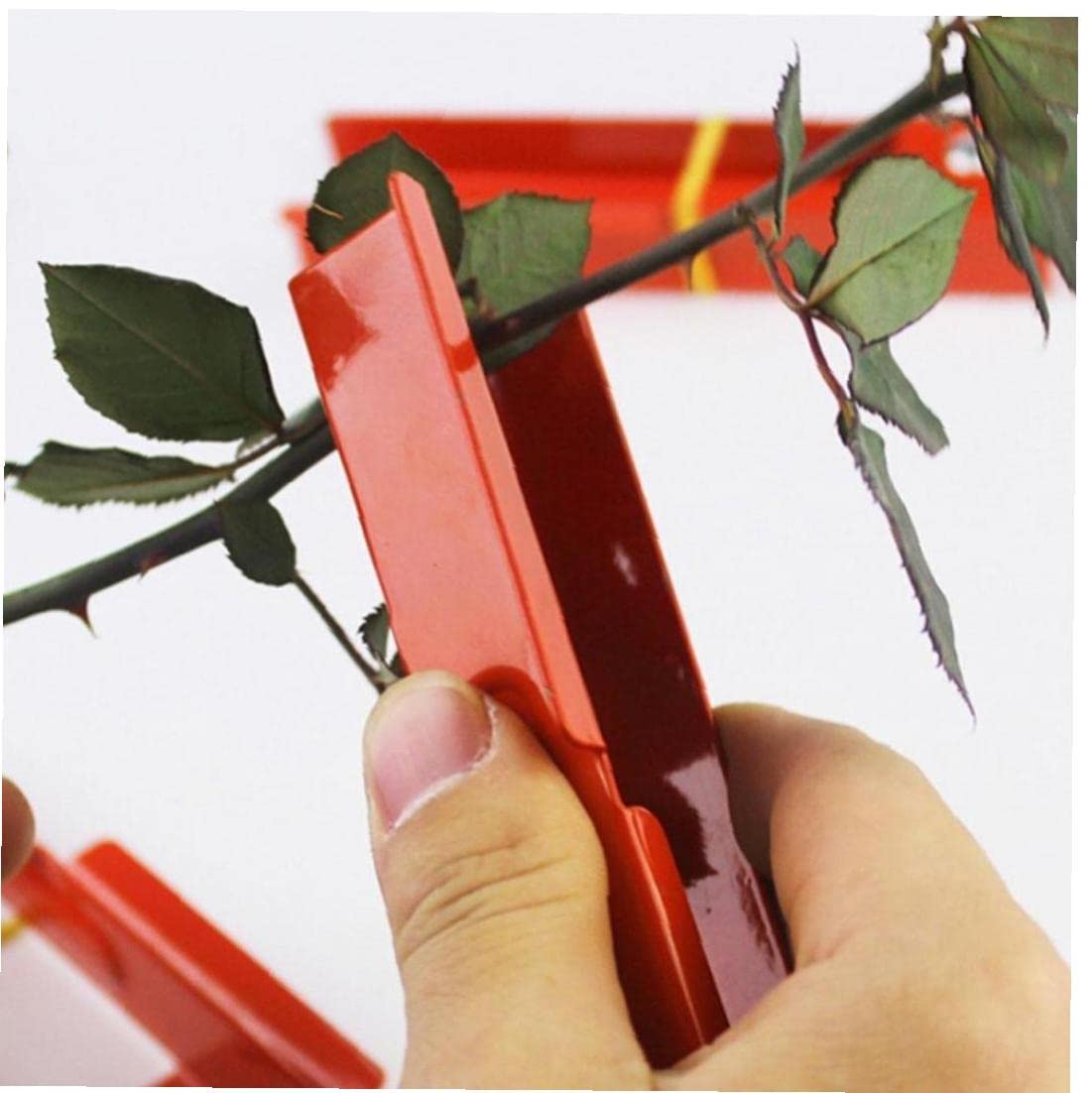 Rose Pliers - Professional Burr Remover & Flower Stem Stripper for Pruning Rose Thorns, Leaves & Branches - Ideal for Gardening, Floral Arrangements & DIY Bouquets