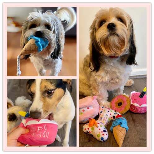DoreenBow 5 Pack Squeaky Dog Chew Toys - Puppy Teething Plush Birthday Cake Toys for Small Dogs | Perfect Gift Box for Dog Birthday Parties & Puppy Playtime