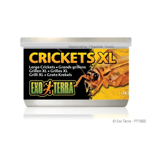 Exo Terra Canned Crickets - Premium Reptile Food for Bearded Dragons, Geckos & Frogs | High-Protein Diet for Healthy Pets | Ideal for Feeding Reptiles at Home or in Terrariums