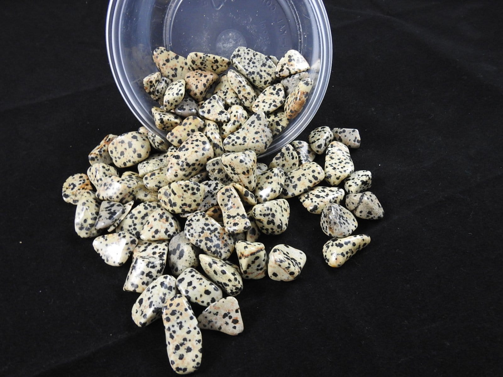 Dalmatian Jasper Tumbled Stones - Natural Polished Healing Crystals for Chakra Balancing, Meditation & Home Decor