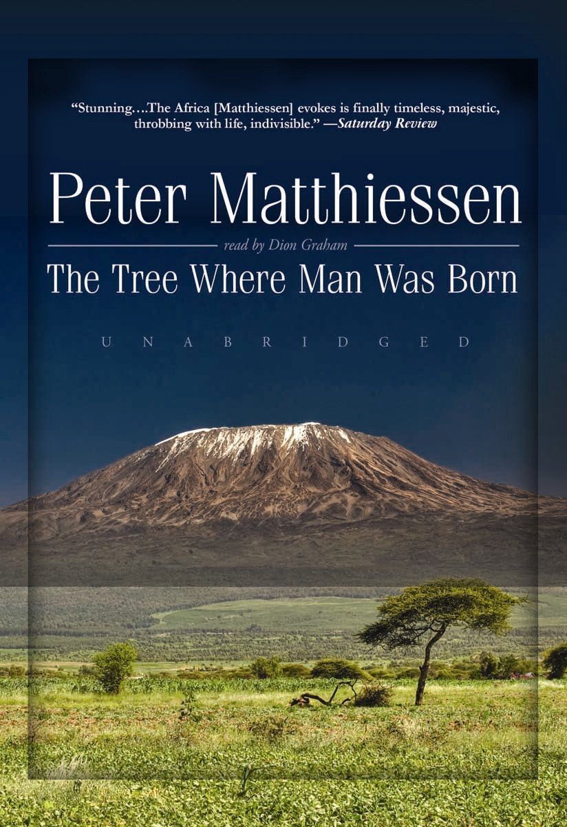 The Tree Where Man Was Born - African Baobab Tree Seeds for Planting | Grow Your Own Ancient Symbol of Life | Perfect for Home Gardens, Landscaping & Educational Projects
