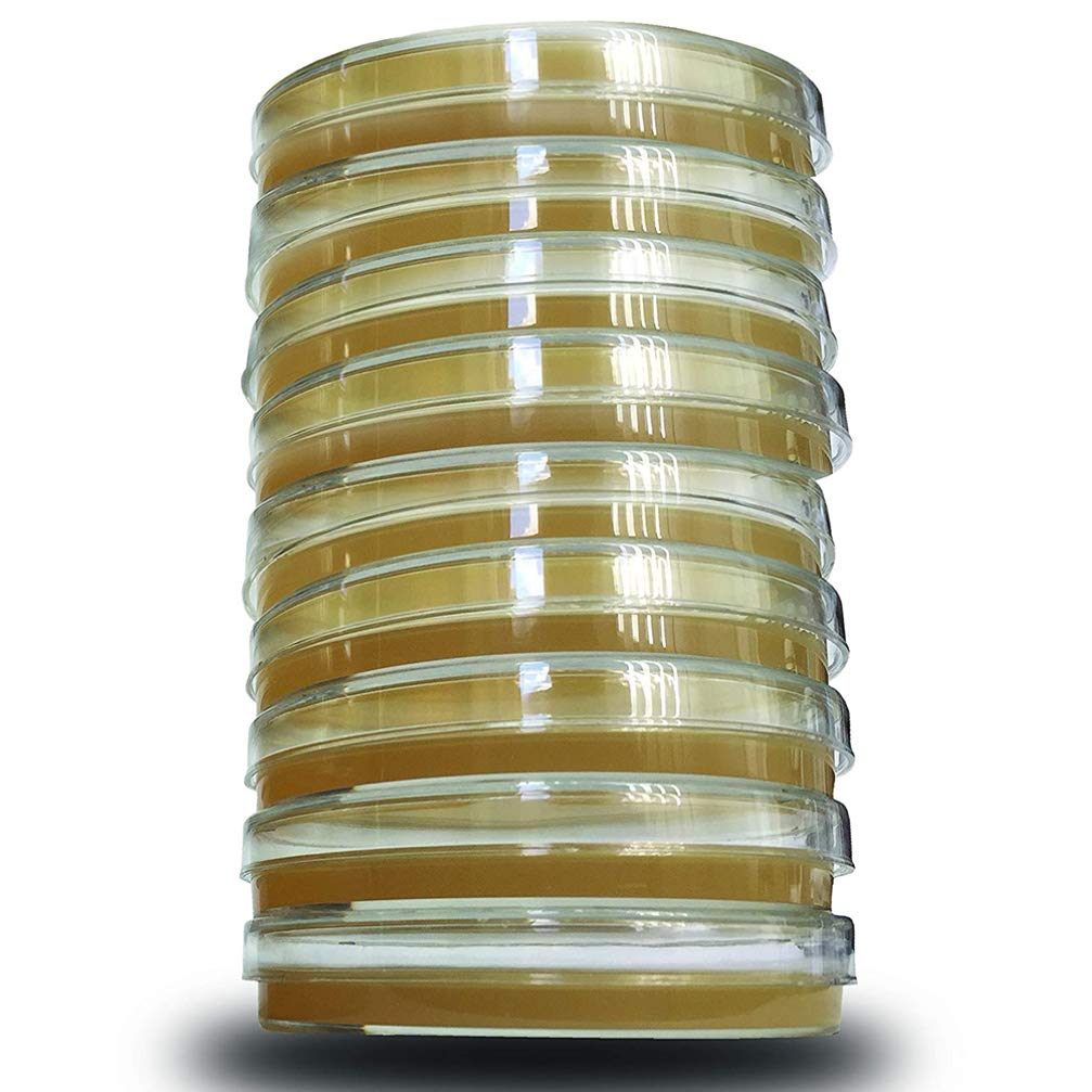UKCOCO 10pcs Agar Petri Dishes Kit for Mushroom Growing - Mycology Lab Equipment for Biological Research