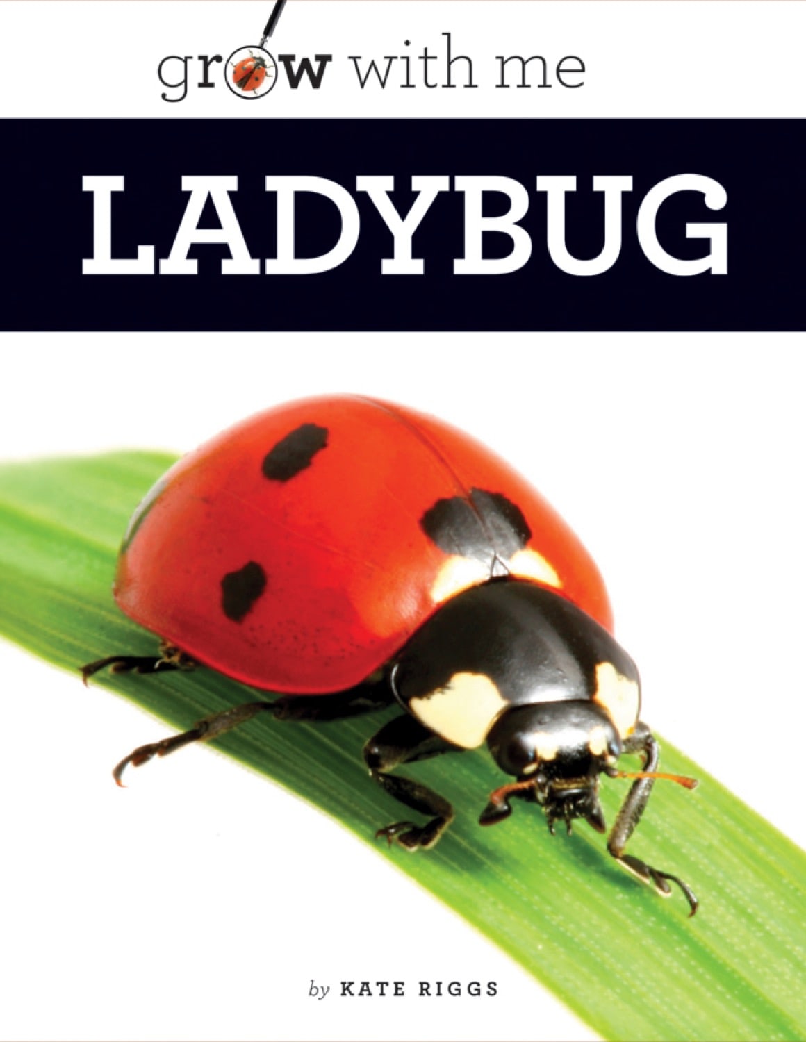 Ladybug Book 978-1-60818-217-6 | Children's Educational Nature Book for Kids | Perfect for Classroom Learning & Bedtime Stories