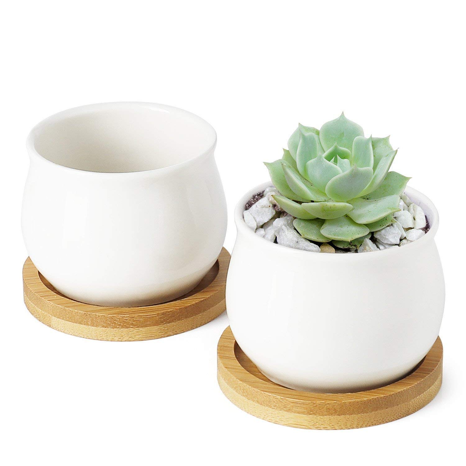 6 Packs Bamboo Plant Saucers - 9.5 x 8.5 x 1cm Round Plant Trays for Succulents, Flowers, Indoor & Outdoor Use - Perfect for Drainage, Decoration and Plant Care