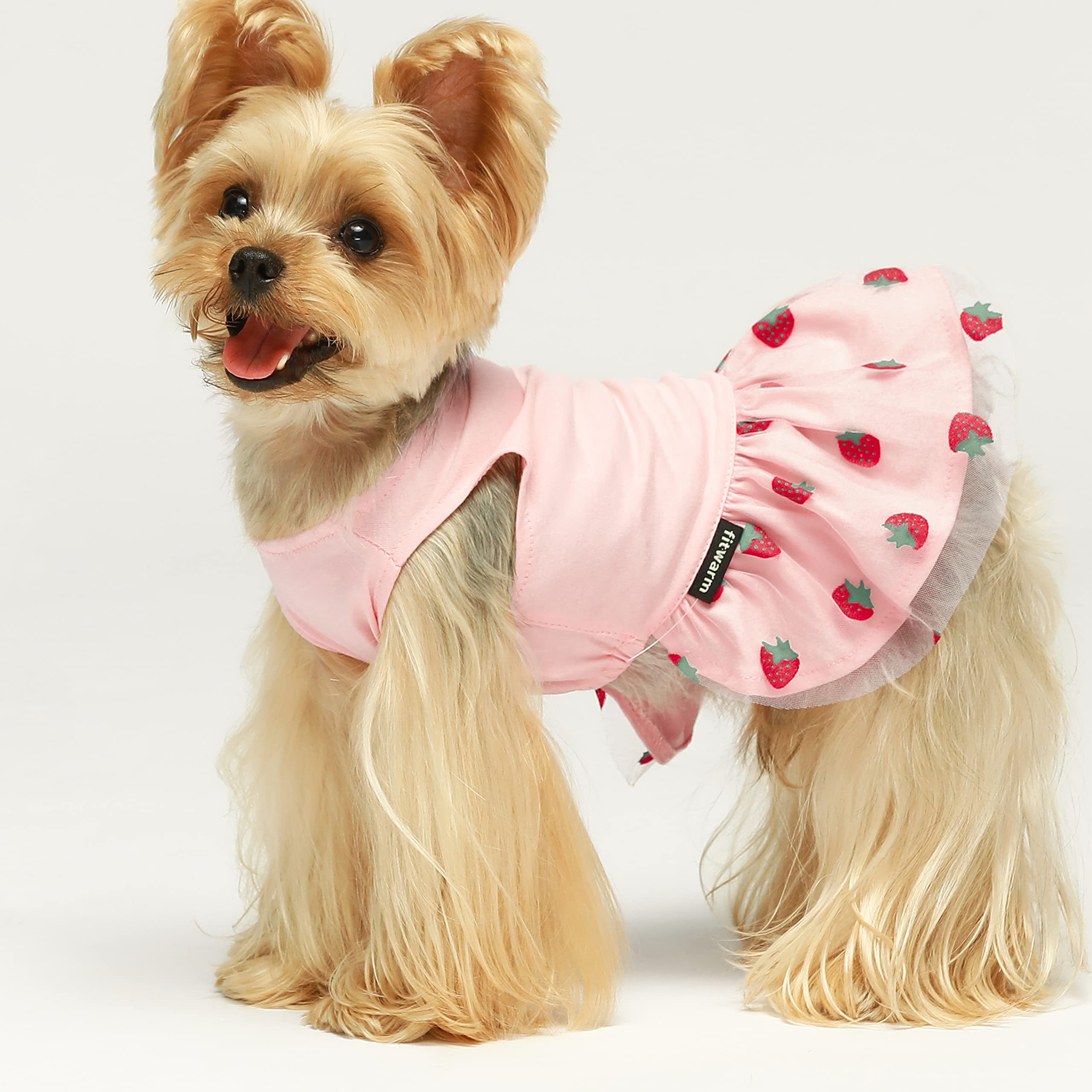 Fitwarm 2-Pack Summer Fruit Print Dog Tulle Dresses - 100% Cotton Pet Clothes for Small Dogs & Cats - Red & Pink Outfits - Perfect for Parties, Photos & Special Occasions