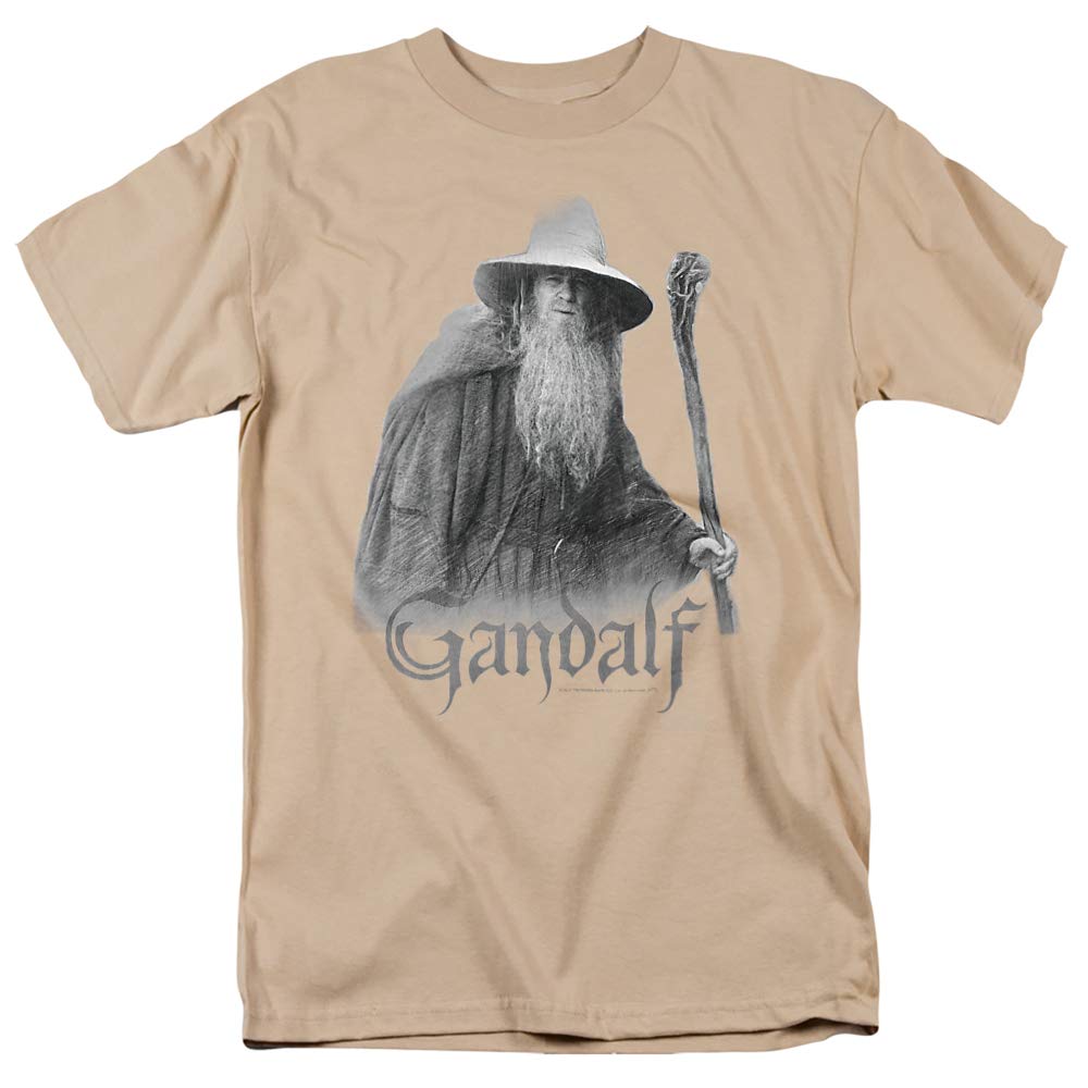 Lord of The Rings Gandalf The Grey T-Shirt | Unisex Adult T-Shirt for Men & Women | Fantasy Movie Merchandise & Cosplay Outfit