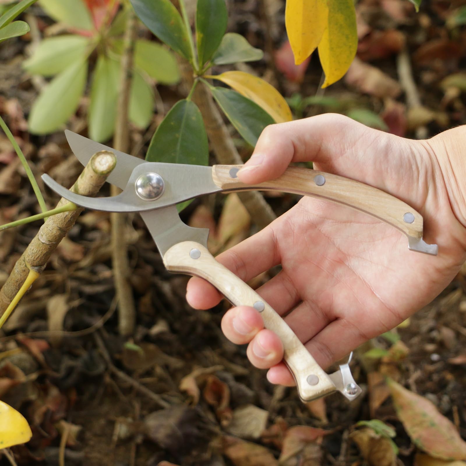 Premium Wooden Handle Pruning Shears - 3/5-Inch Cutting Capacity Garden Scissors with Sharp Stainless Steel Blades for Trimming Plants, Flowers & Shrubs | Ideal for Home Gardening, Landscaping & Outdoor Use