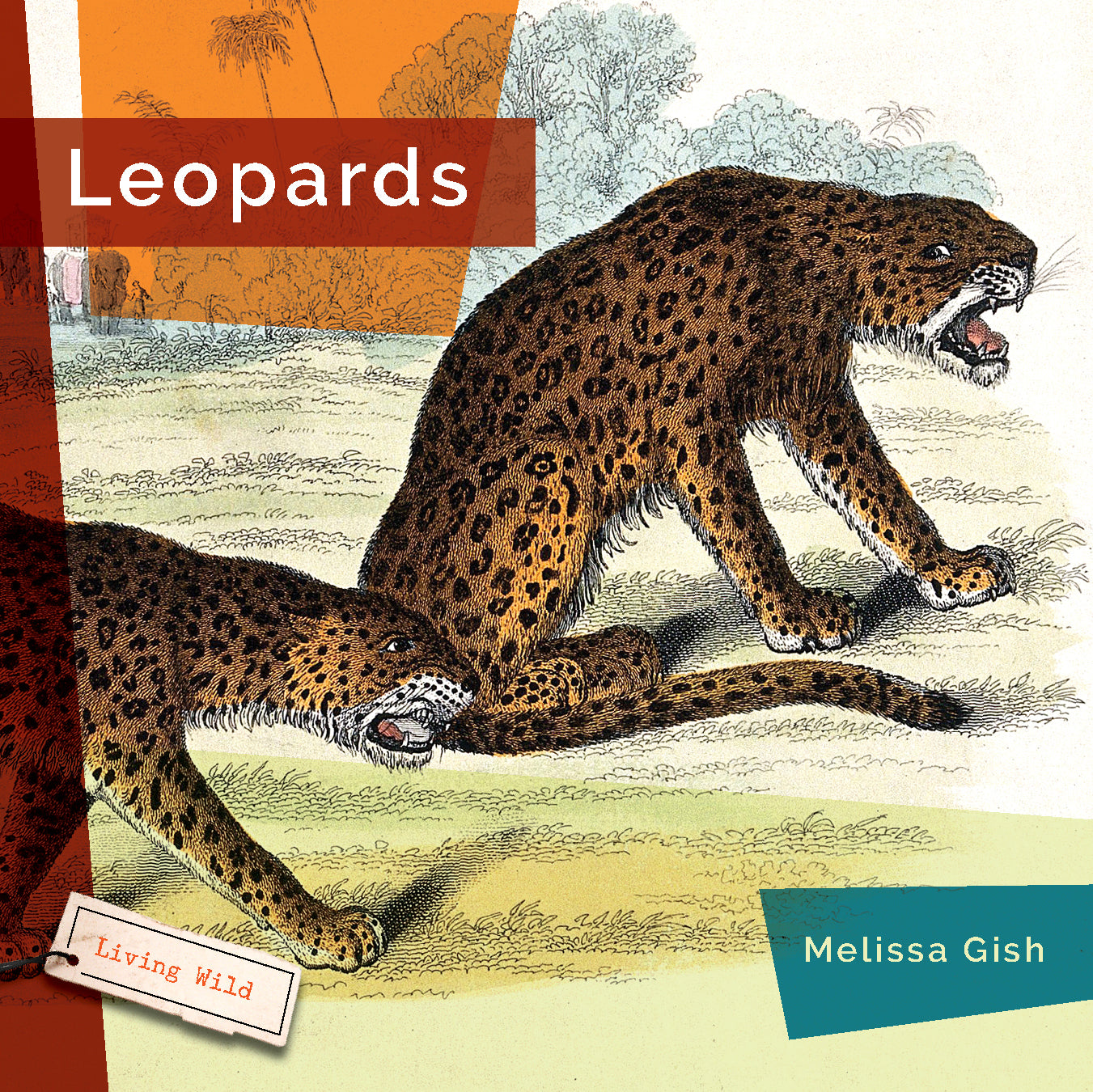 Leopards: Facts, Habitat & Behavior - 9781640265295 | Wildlife Books for Kids & Animal Lovers | Perfect for School Projects & Nature Study