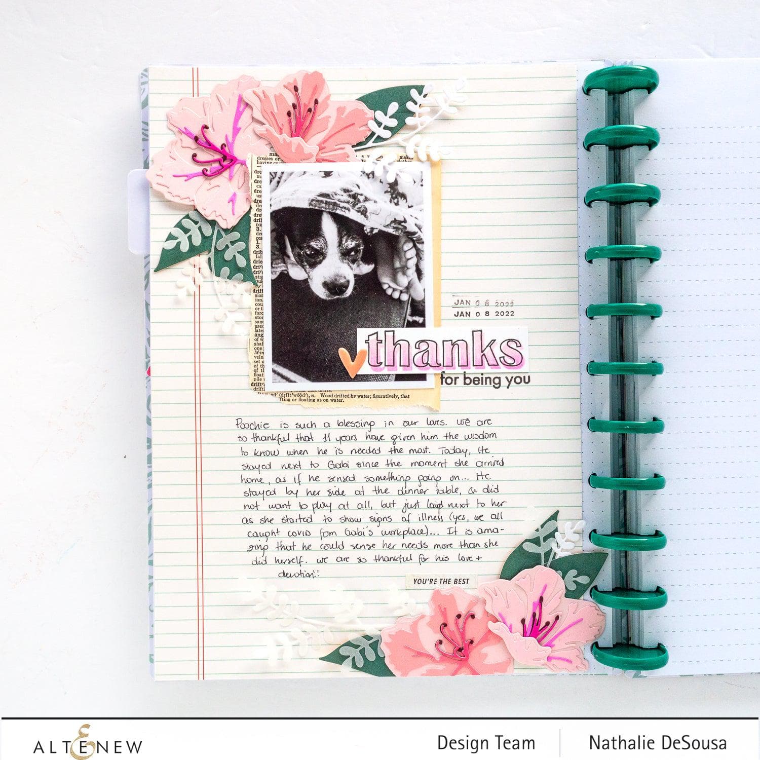 Sunburst Azalea Layering Die Set for Paper Crafting - DIY Floral Card Making, Scrapbooking & Home Decor Projects