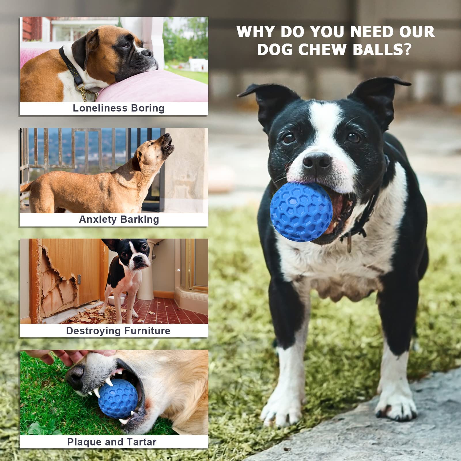 **Durable Natural Rubber Squeaky Dog Balls for Aggressive Chewers – 3.1-Inch Chew Toys for Large & Medium Dogs – Teeth Cleaning & Anxiety Relief – Interactive Play & Training (Blue)**    *(Perfect for Fetch, Training, and Keeping Your Dog Entertained Indoors & Outdoors)*