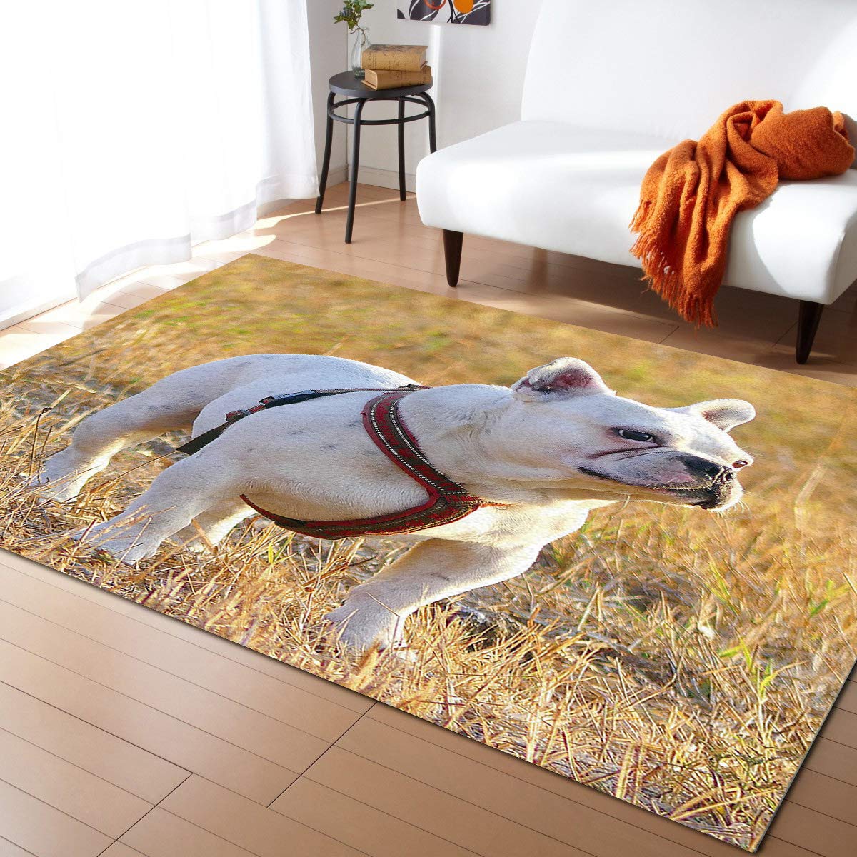 5'x8' Washable Area Runner Rug with Cute French Bulldog Design - Perfect for Indoor & Outdoor Use in Kitchen, Living Room, Bathroom, Bedroom, Classroom, Laundry Room - Non-Slip Doormat, Desk Mat, Welcome Floor Mat for Pet Lovers & Home Decor