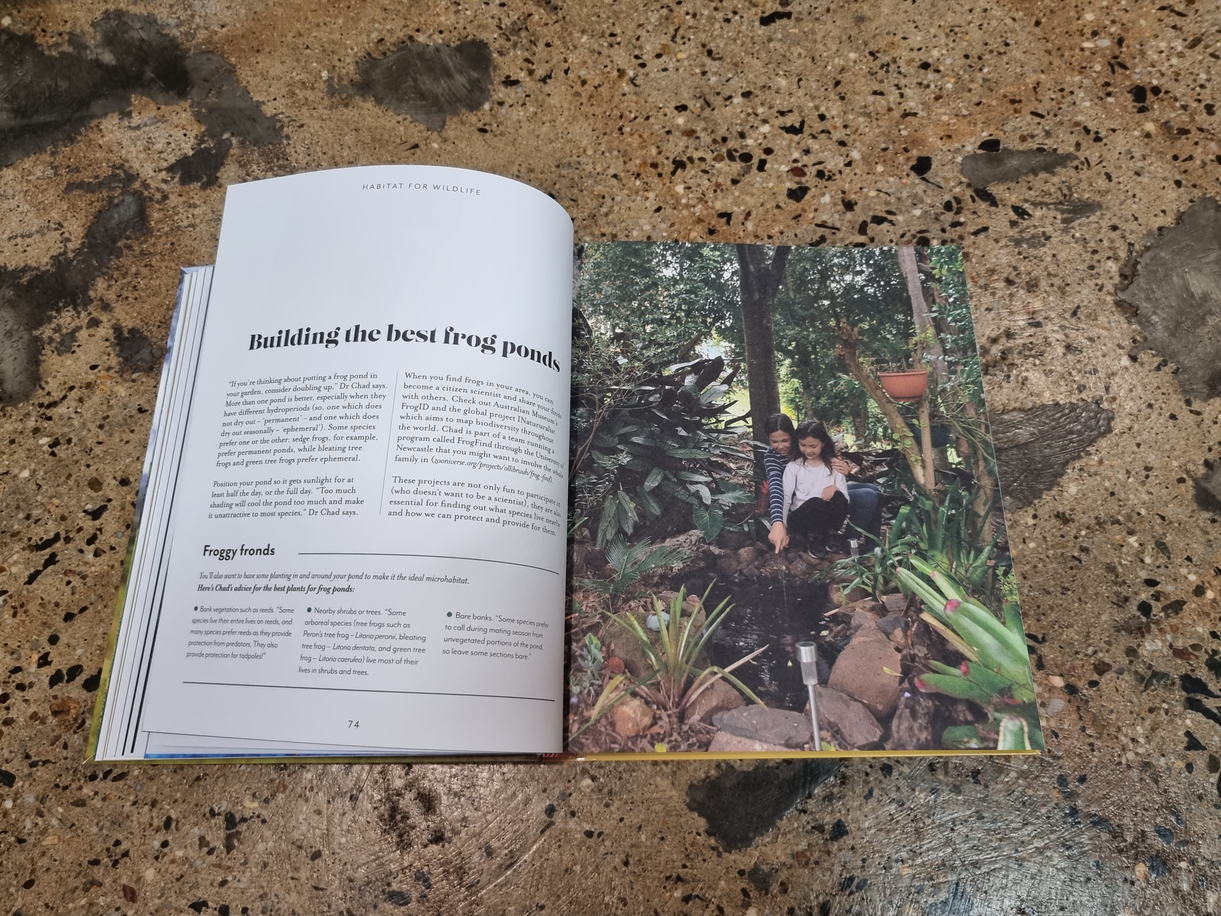 How to Raise Outdoor Kids - Parenting Guide by Linda Drummond | Outdoor Activities, Nature Exploration & Family Bonding Tips