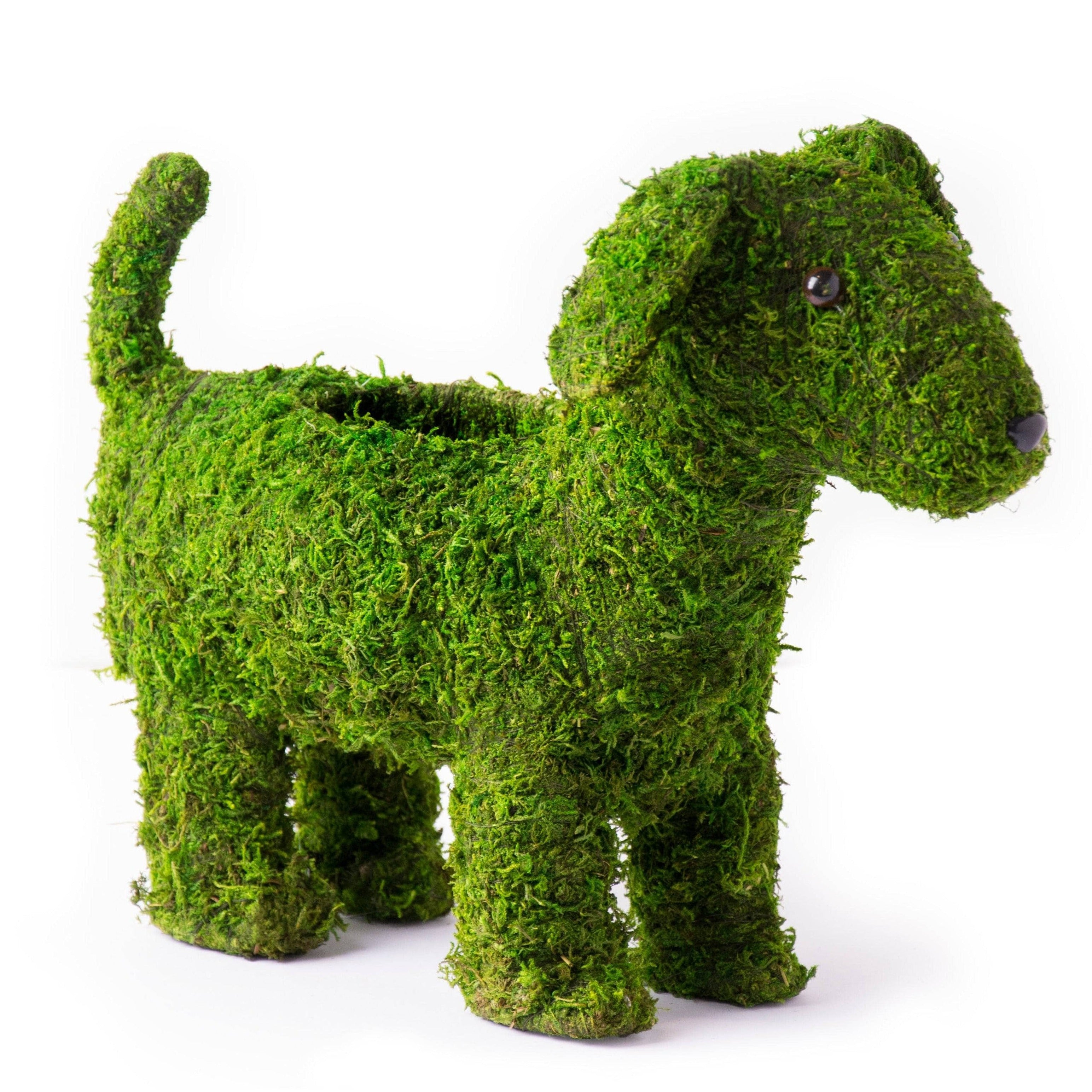 13 Inch Puppy Moss Planter - Cute Indoor Succulent Planter for Home & Office Decor - Perfect for Windowsills, Desks, and Gift Giving