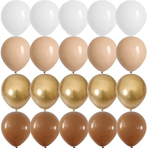 Apricot Gold Brown and White