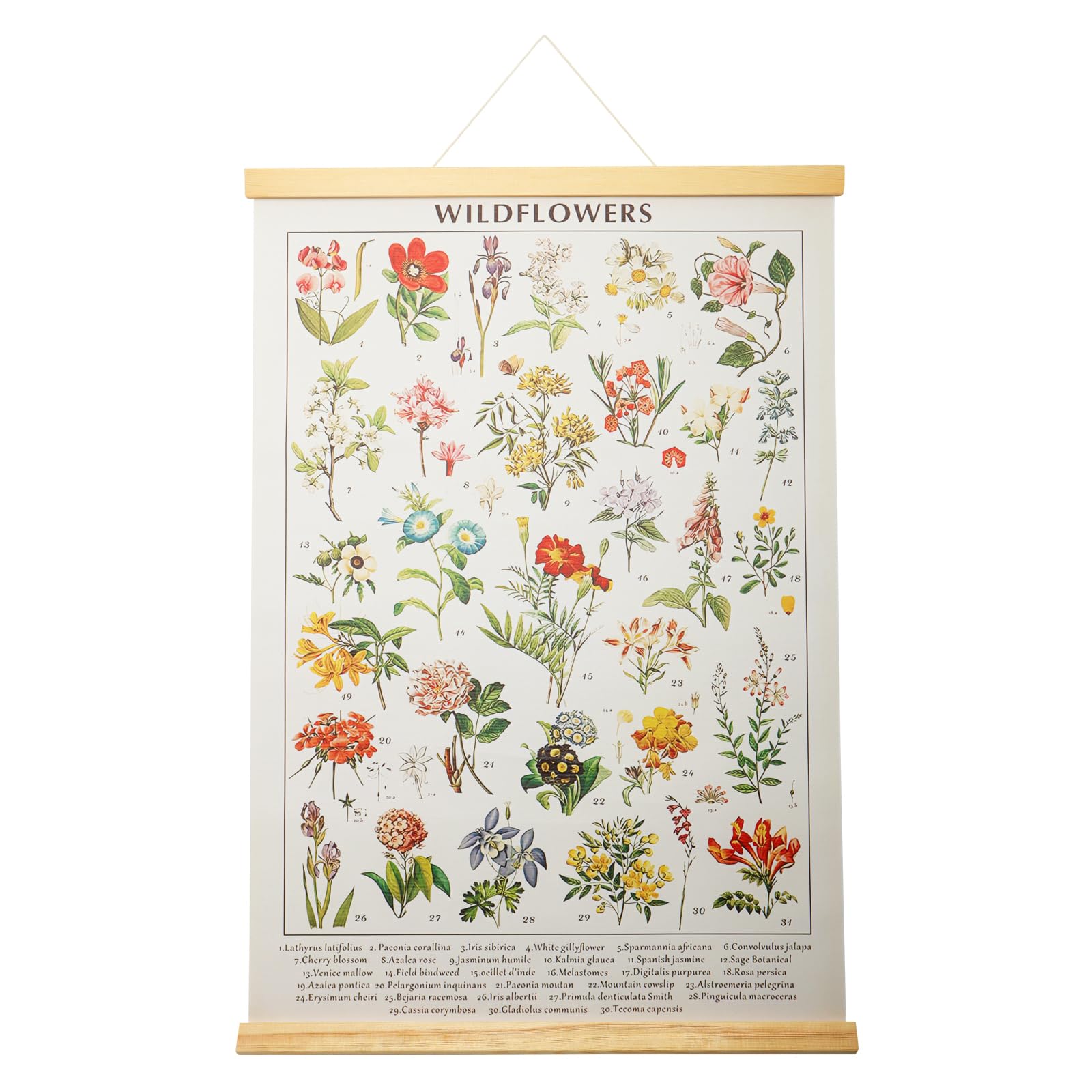 Vintage Wildflowers Botanical Poster - Rustic Floral Wall Art Decor with Hanger Frame - 16.18 x 24.09 Inch - Perfect for Living Room, Bedroom, or Office Wall Decoration