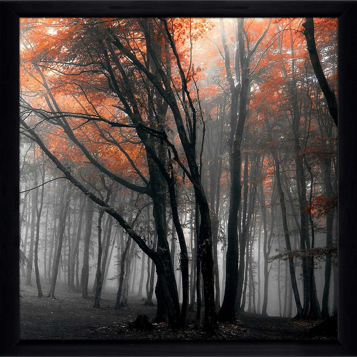 46 Autumn Woods Landscape Photo Print on Acrylic - Premium Wall Art Decor for Living Room, Bedroom & Office | Nature Photography by PhotoINC Studio