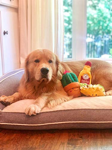ZippyPaws NomNomz Taco Plush Squeaky Dog Toy - Fun Food-Shaped Chew Toy with Squeakers for Small & Medium Dogs | Perfect for Playtime, Training Rewards & Interactive Bonding