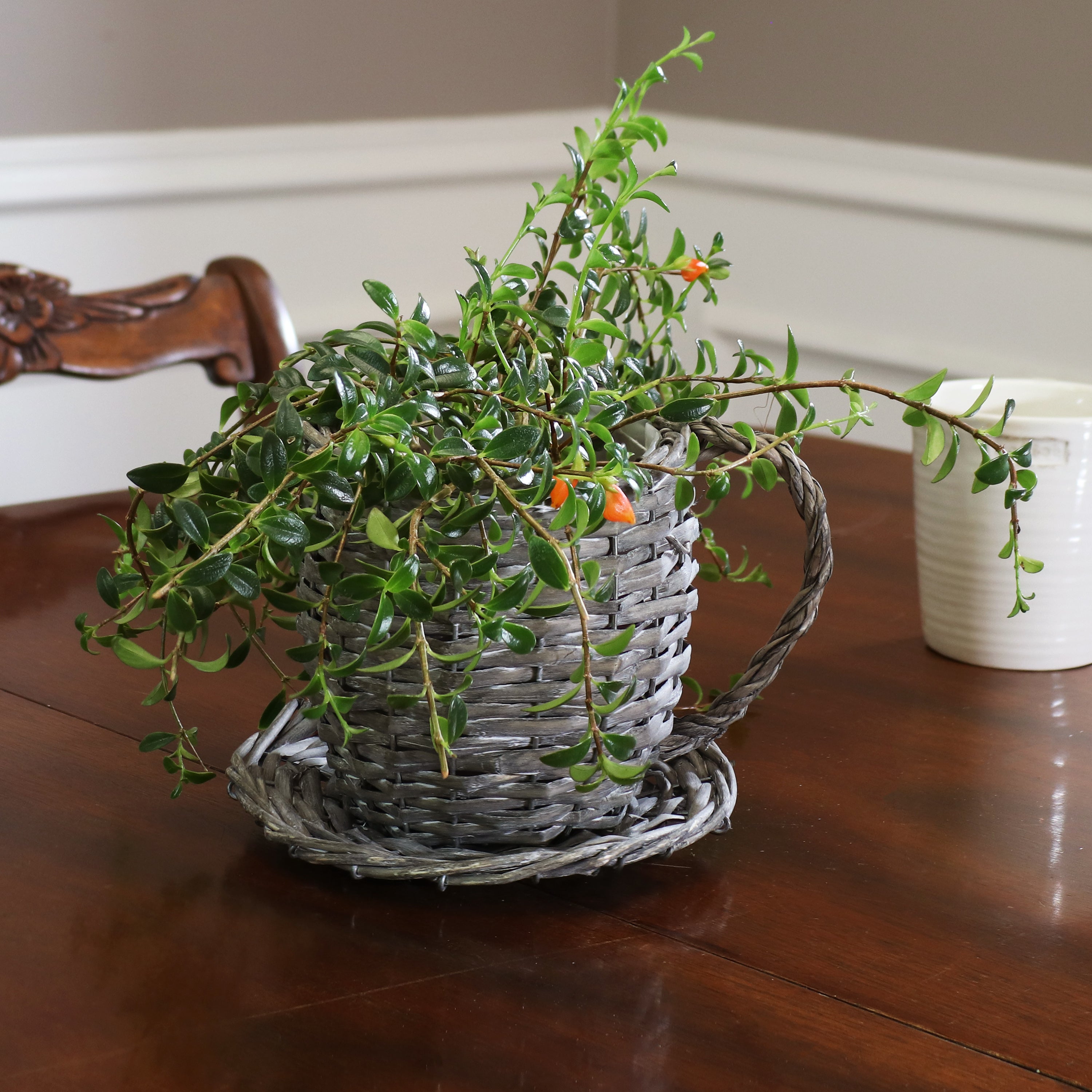 Sunnydaze Set of 2 Gray Willow Wicker Coffee Cup Indoor Planters - Perfect for Home Decor, Office Desk, and Succulent Plant Display