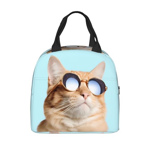 Sunglasses Cat