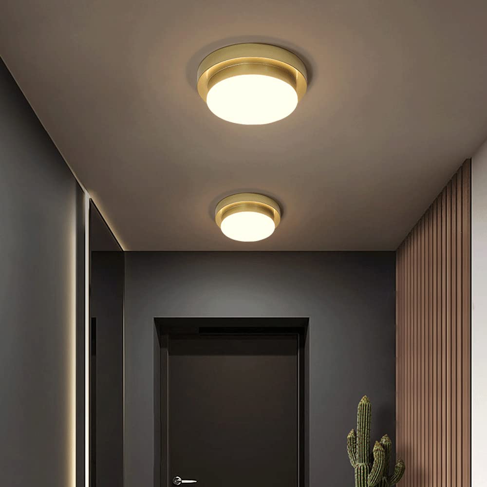 Modern 14W LED Ceiling Light Fixture - Metal & Acrylic Surface Mounted Lighting for Bedroom, Living Room, Corridor, Balcony | Energy Efficient Home Lighting Solution for Indoor Spaces