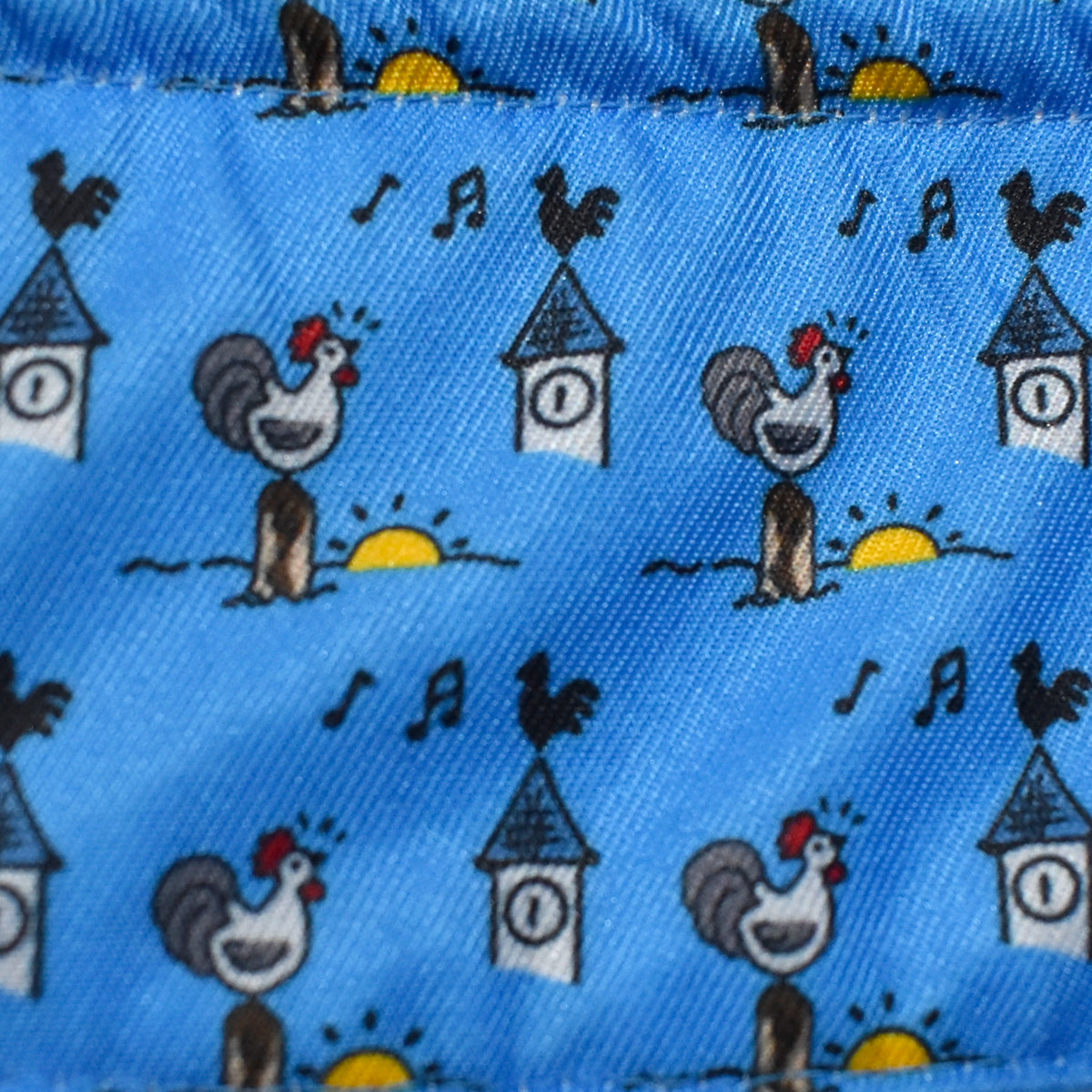 Essex Classics Girls Roosters Talent Yarn Straight Collar Long Sleeve Show Shirt - Perfect for School Performances, Talent Shows, and Special Occasions