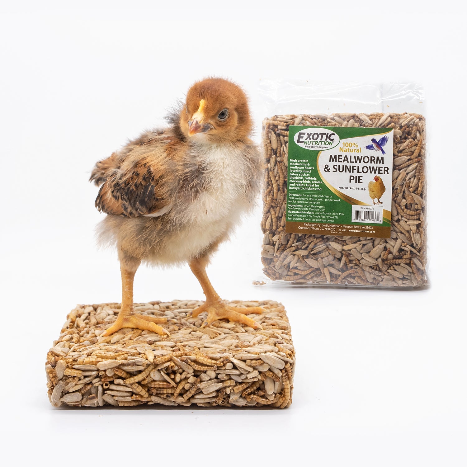 Nutritious Mealworm & Sunflower Seed Pie - High Protein Snack for Hiking, Camping & Survival Food | Organic & Gluten-Free Insect Protein Bar