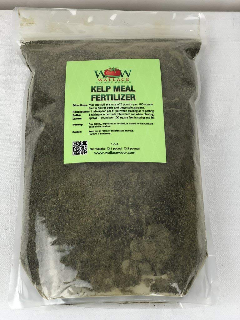 Organic Kelp Meal Soil Conditioner (1lb) - Natural Fertilizer for Plants, Garden & Lawn - Boosts Growth & Nutrient Absorption - Perfect for Indoor/Outdoor Gardening, Hydroponics & Composting