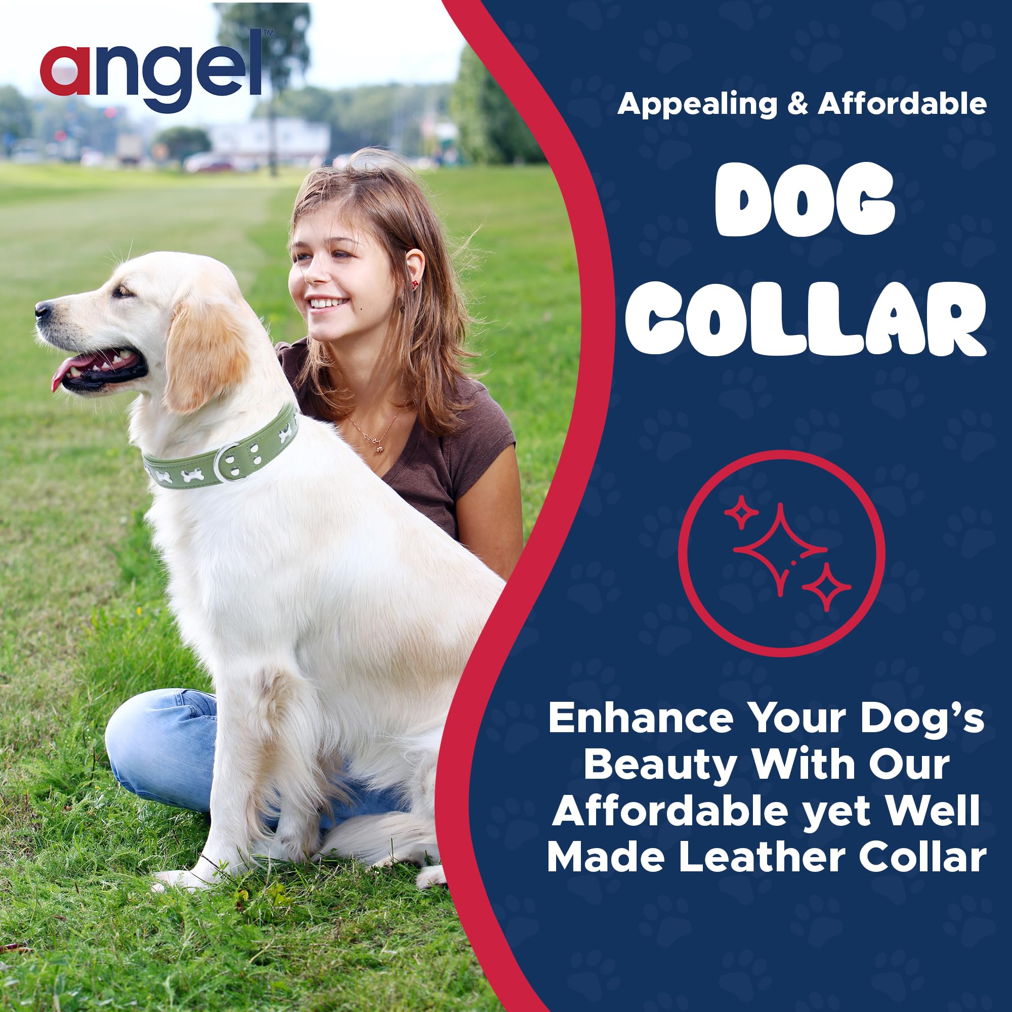 Genuine Leather Studded Dog Collar for Medium to Large Dogs - 24