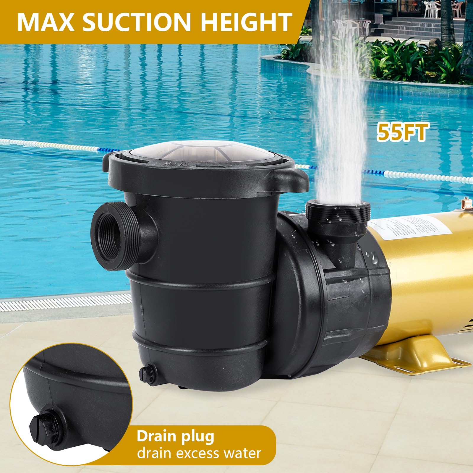 2HP Single Speed Swimming Pool Pump - 115V, 5568GPH High Flow Above/In-Ground Water Pump with Filter Basket | Powerful Priming, Low Noise | Perfect for Family Backyard Pools, Spas & Water Features