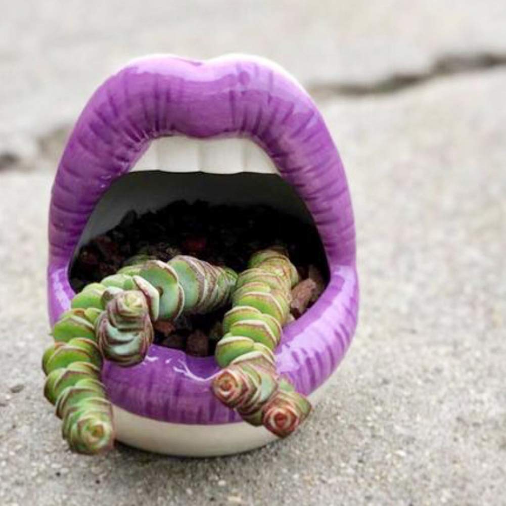 Lemonadeus Multi-Purpose Ceramic Lip Planter - Stylish Flower Pot, Gadget Storage & Unique Ashtray - Home & Office Decor (Purple)