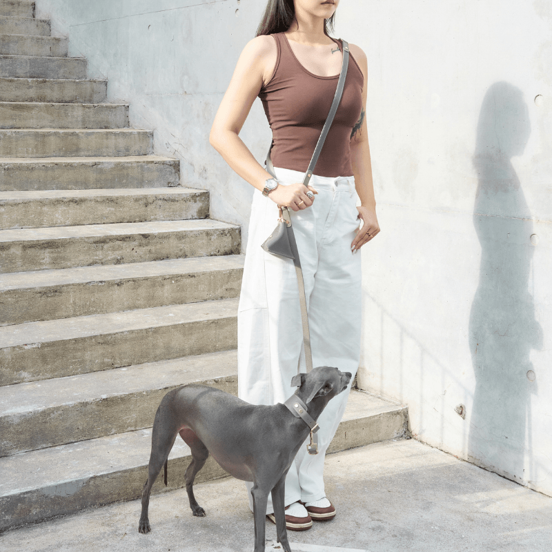 Hands-Free Dog Leash for Walking & Running - Adjustable Waist Belt with Reflective Stitching - Perfect for Jogging, Hiking & Outdoor Activities