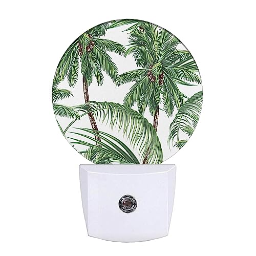 Tropical Palm Tree