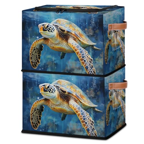 Pattern Turtle Sea