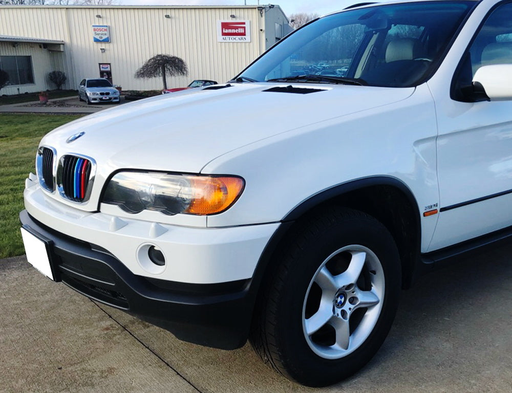 BMW E53 X5 (1999-2003) ///M Style Color Grille Insert Trims - 8 Beam Kidney Grille Upgrade for Pre-LCI Models | Enhances Front End Styling & Sporty Look