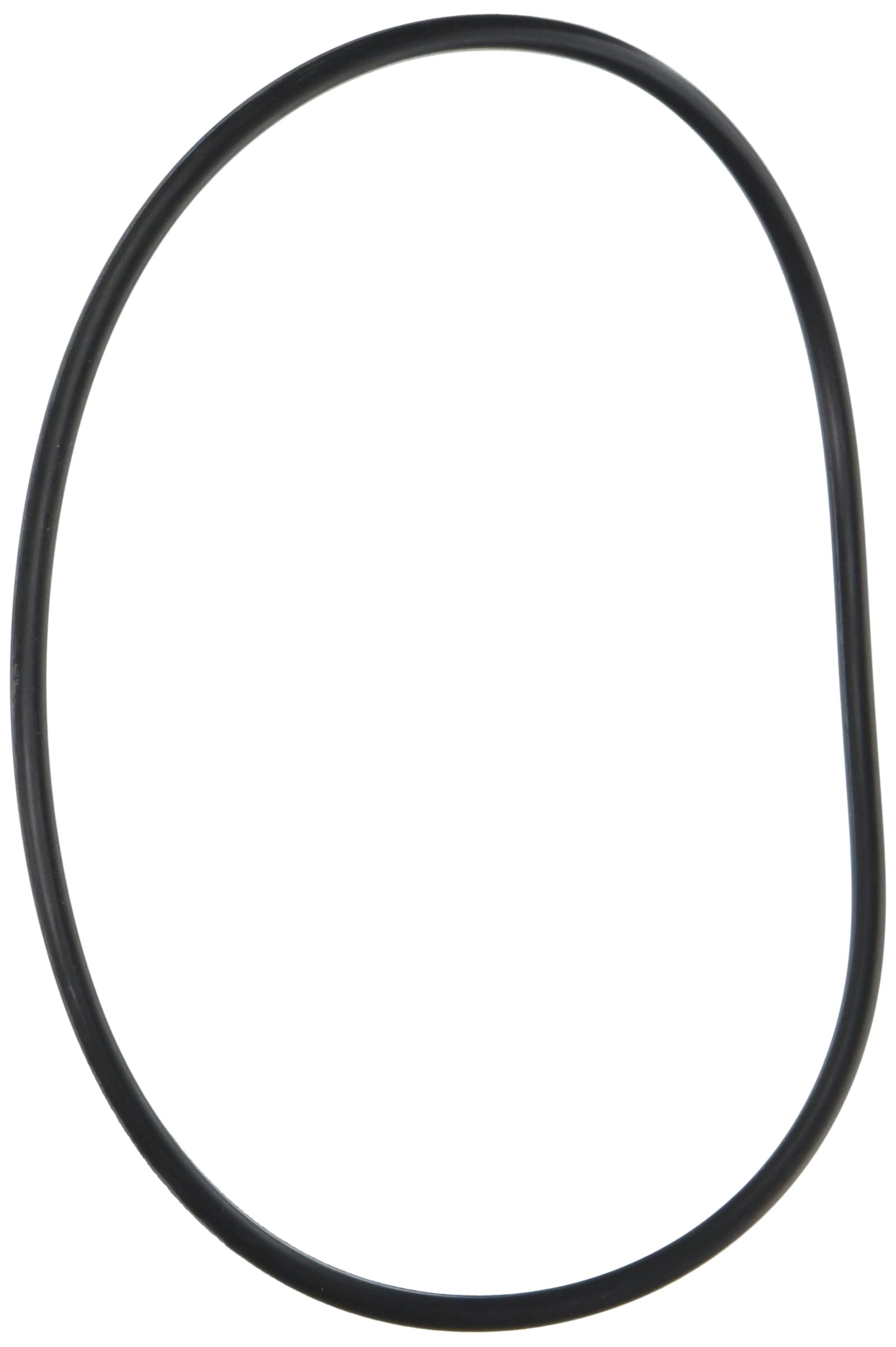 Ametek W10-OR Replacement O-Ring for Water Filter Systems - Perfect for Home, RV, and Camping Use
