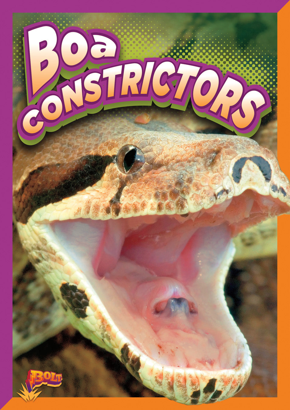 Boa Constrictors for Sale | Live Pet Snakes | Exotic Reptile Pets for Terrarium & Home Decor | Perfect for Reptile Enthusiasts & Unique Pet Lovers