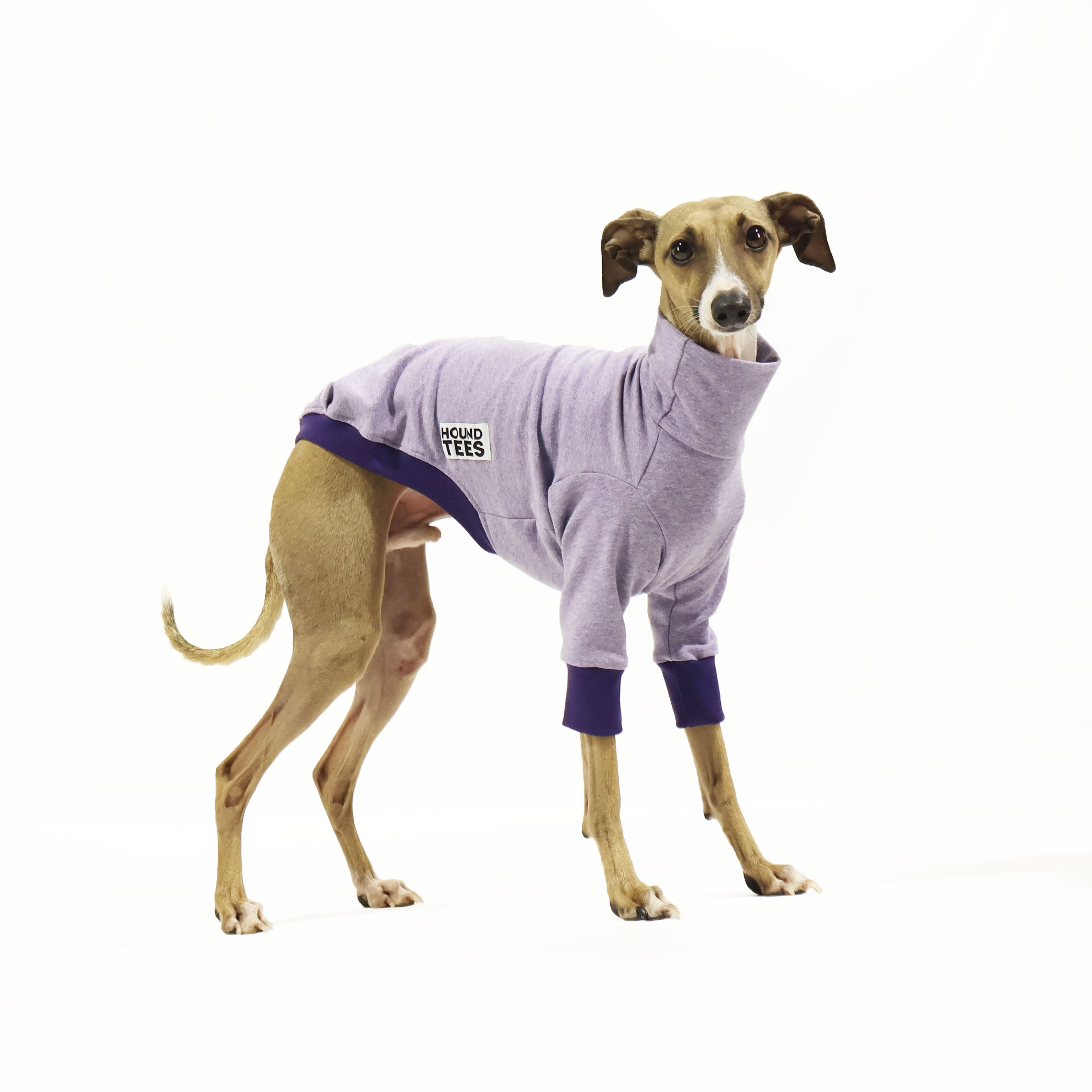 Italian Greyhound Seahorse Sweater - Cozy Knit Dog Sweater for Small Breeds - Perfect for Winter Walks & Indoor Comfort