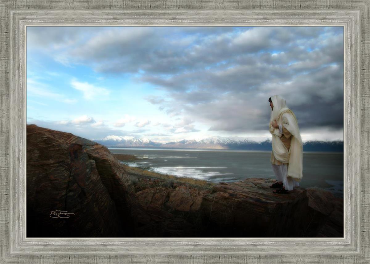 Alone Shepherd Book by Scott Sumner - Inspirational Christian Fiction for Personal Growth & Faith Journey | Perfect for Book Clubs, Bible Study Groups & Quiet Reflection Time