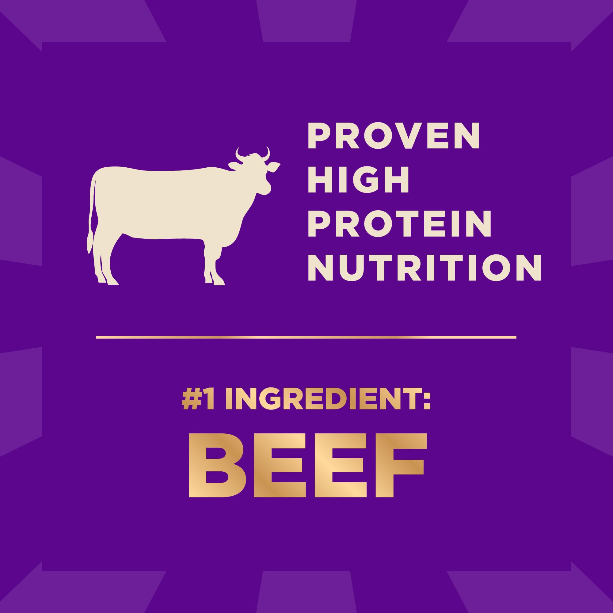 Wellness CORE+ High Protein Dry Dog Food with Freeze-Dried Beef & Wholesome Grains - Natural Beef & Barley Recipe (4lb Bag) - Perfect for Active Dogs & Weight Management