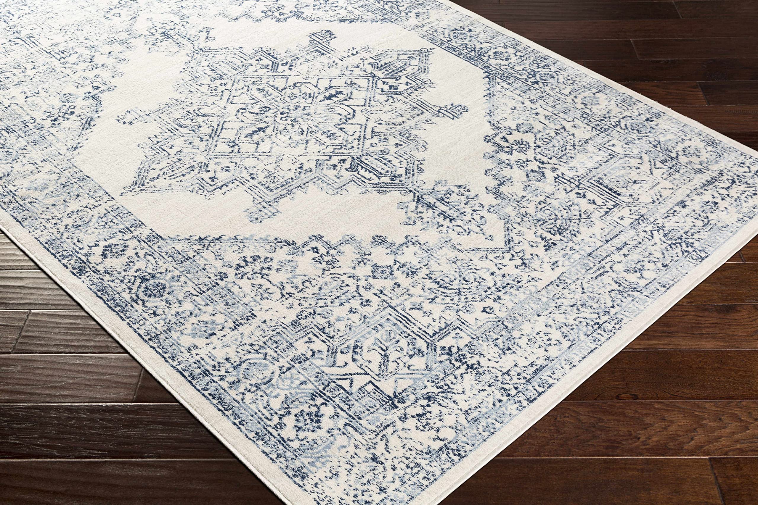 Hauteloom Pooraka Traditional Gray and Blue Area Rug 7'10