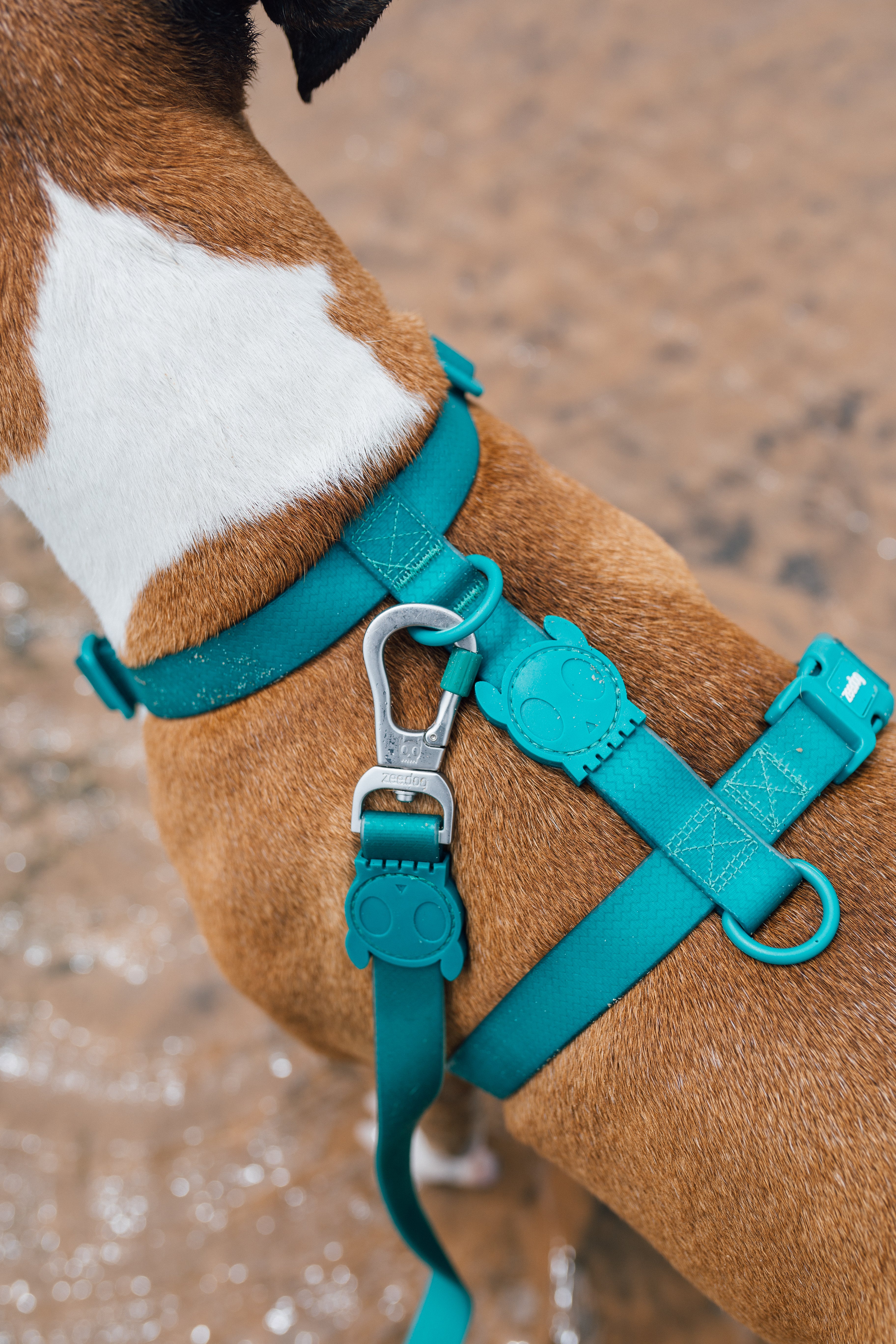 Neopro Amazonia Dog Harness - Adjustable Pet Harness for Small, Medium & Large Dogs - Breathable Mesh Vest with Reflective Strips - Perfect for Walking, Running & Outdoor Adventures