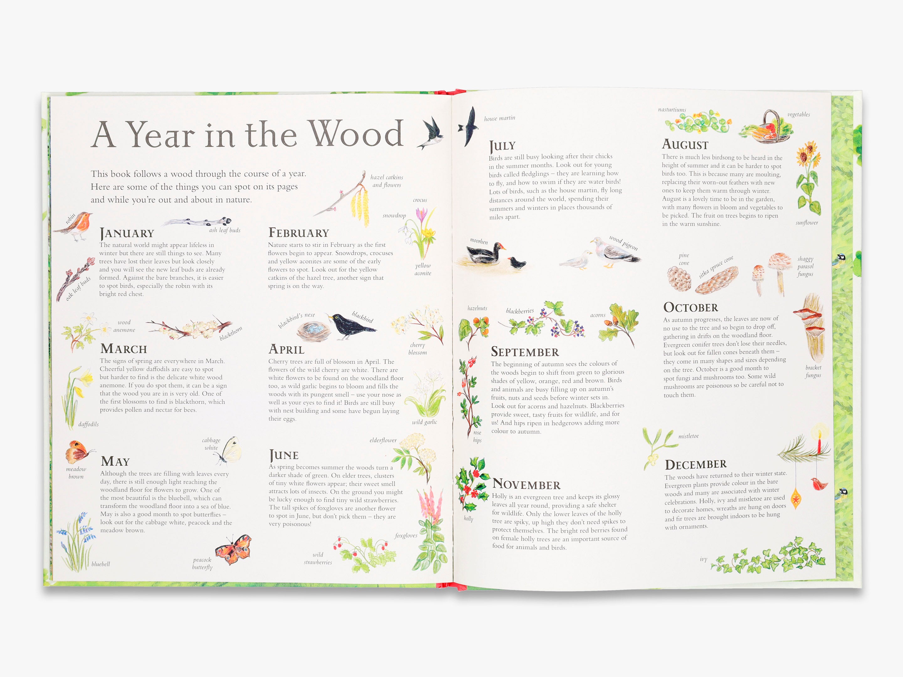 Mouse's Wood - Children's Book Series | Fun & Educational Story for Kids | Perfect for Bedtime Reading & Early Learning