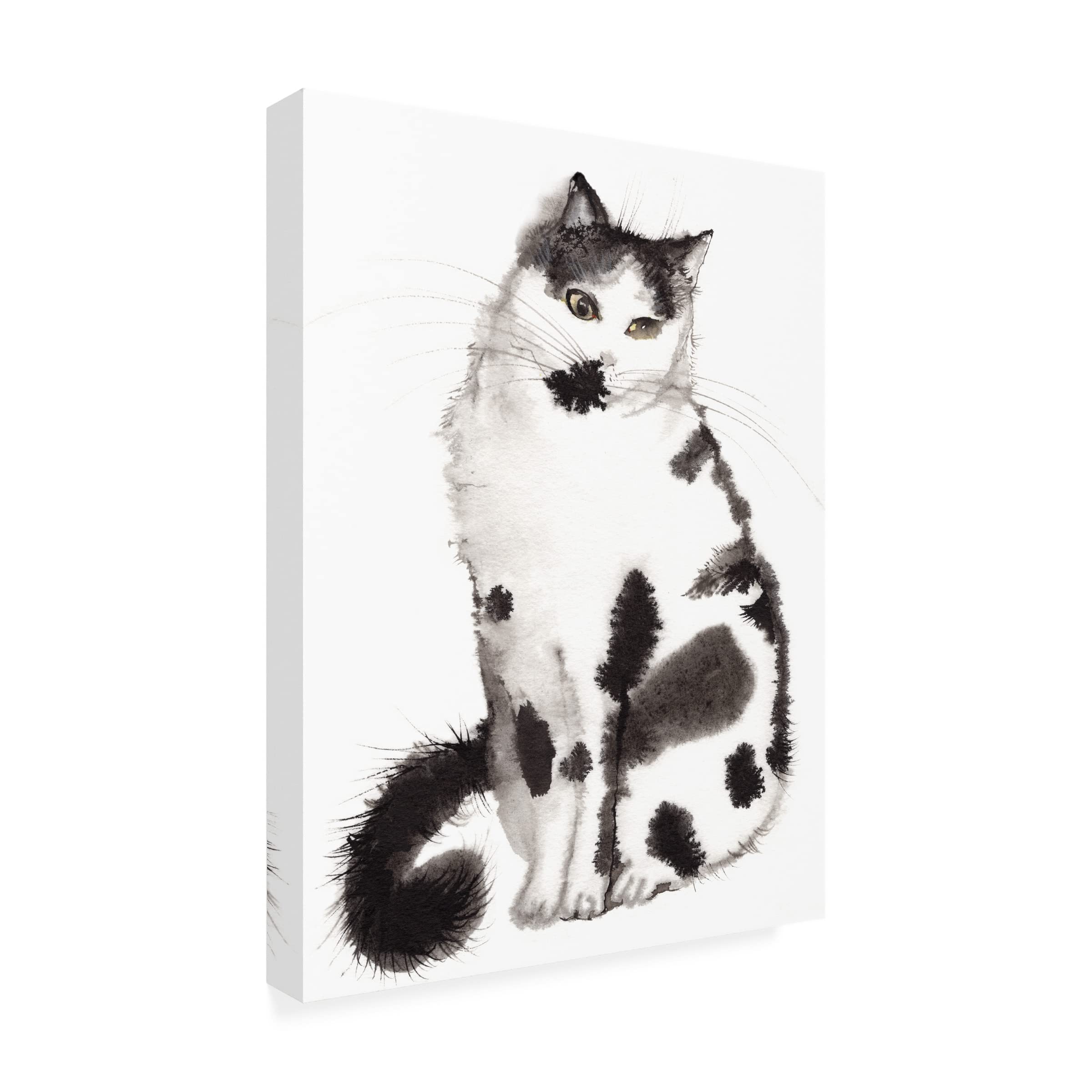Trademark Fine Art 'Black And White Fellow' Canvas Wall Art by Elena Bolgova - Modern Abstract Painting for Living Room, Bedroom & Office Decor