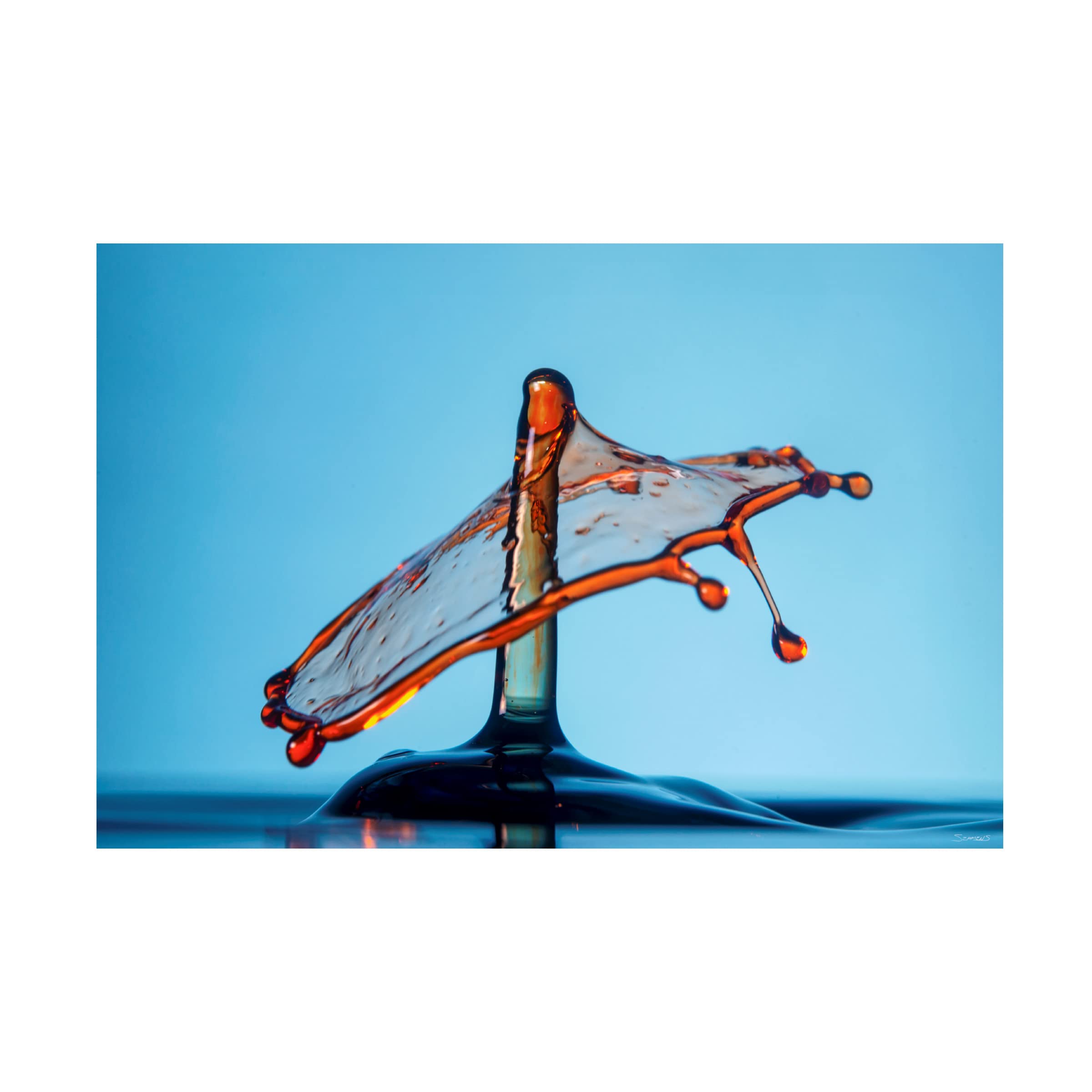 Gordon Semmers Liquid Splash 16x24 Canvas Art Print - Modern Abstract Wall Decor for Living Room, Bedroom & Office - Trademark Fine Art Collection