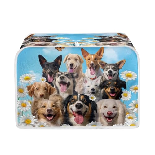 Dogs Daisy-Blue
