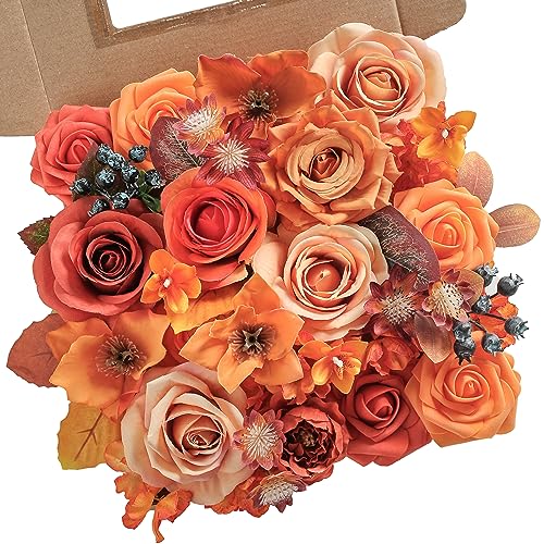 Rustic Terracotta Orange
