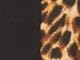 Brown Painterly Cheetah