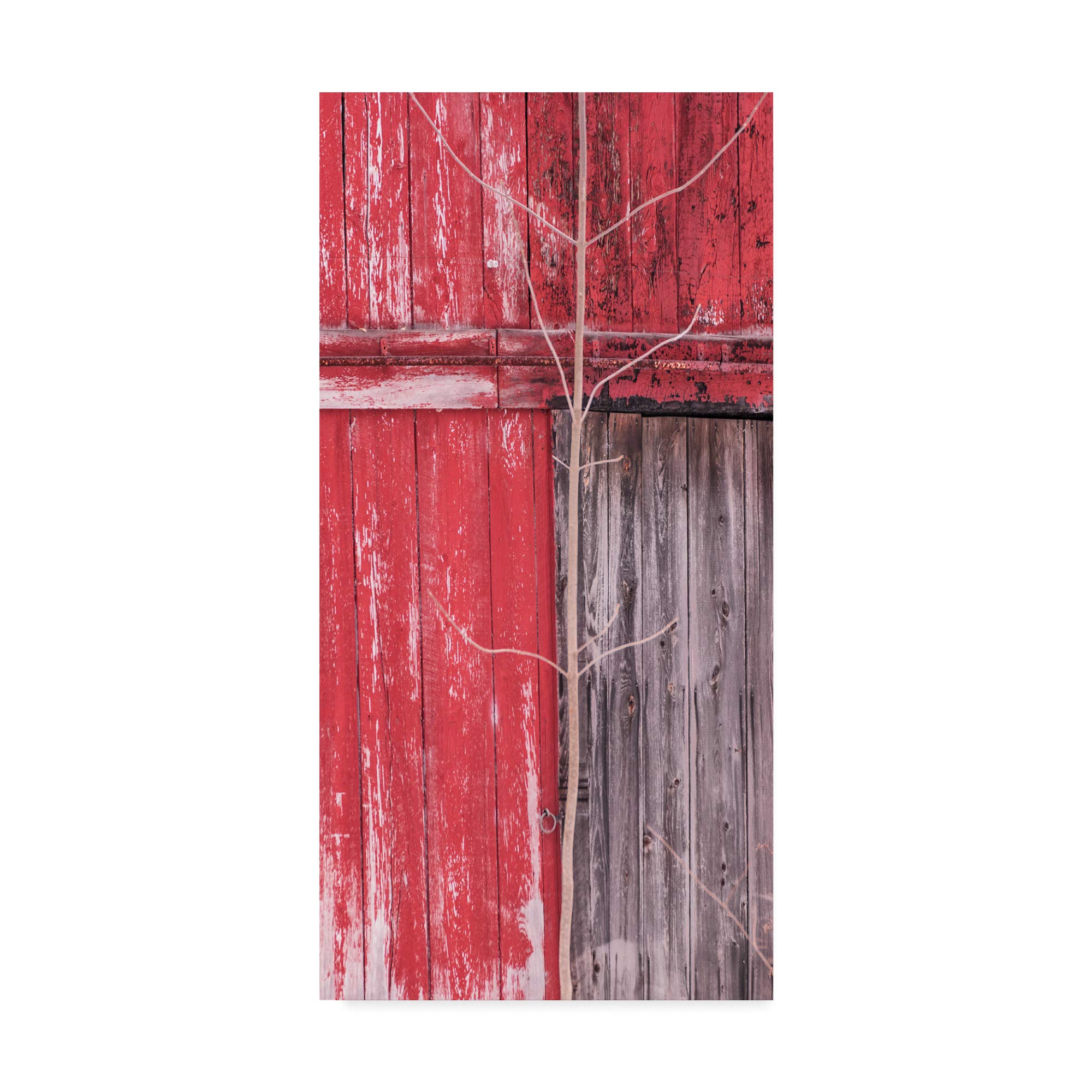 Boundaries Red Canvas Art Print by Brenda Petrella - Modern Abstract Wall Decor for Living Room, Bedroom & Office - Premium Gallery Wrapped Ready to Hang