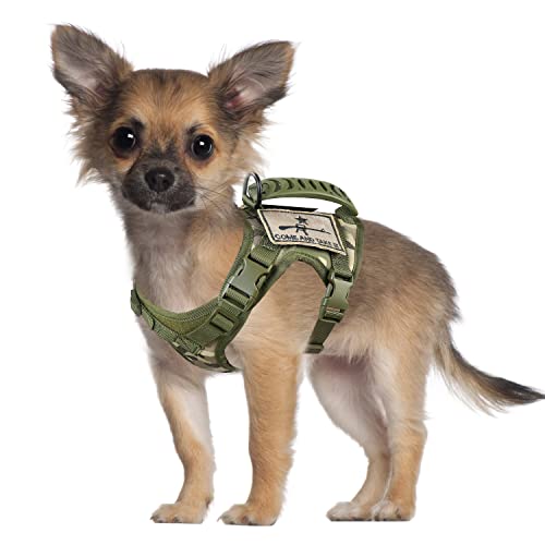Camo